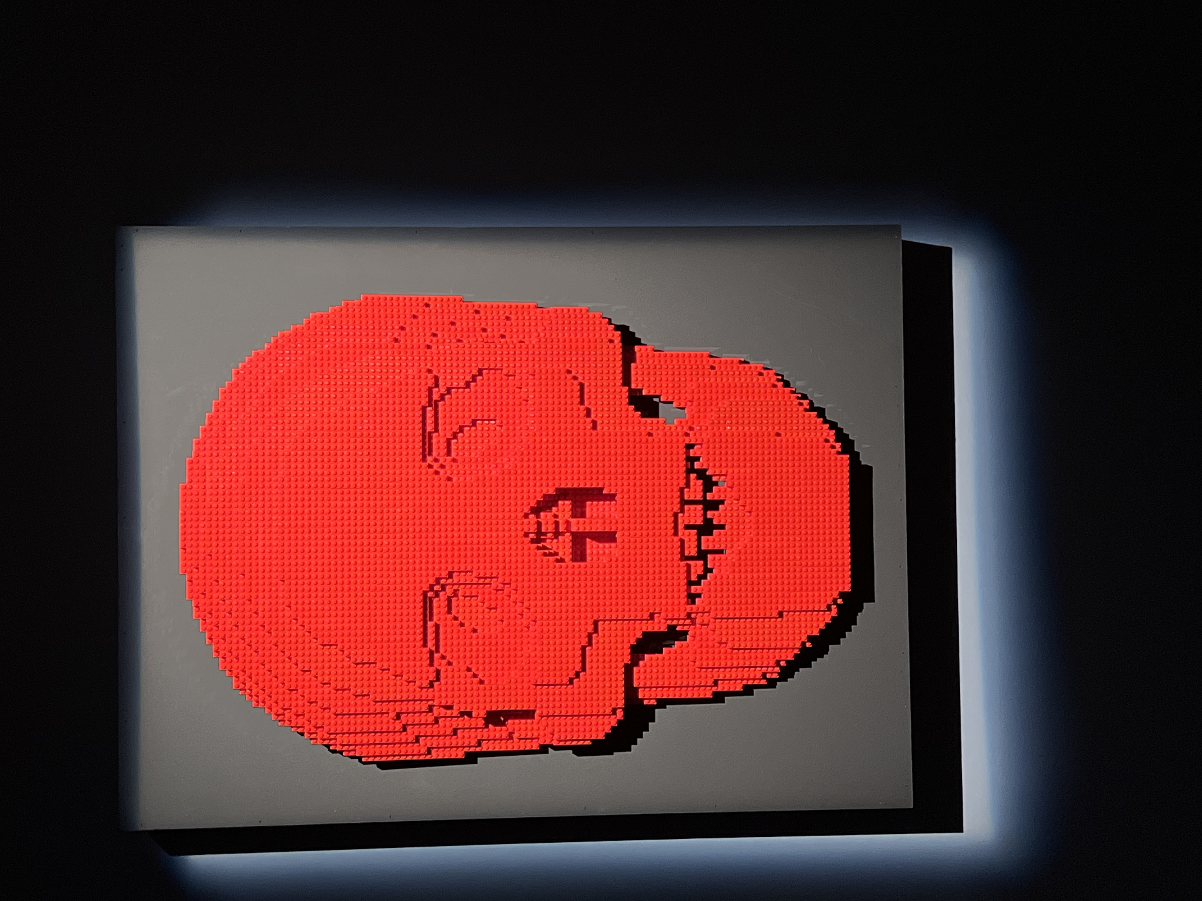 ./2023/07 - Art of the Brick/IMG_9547.JPG